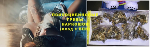 дурь Арсеньев
