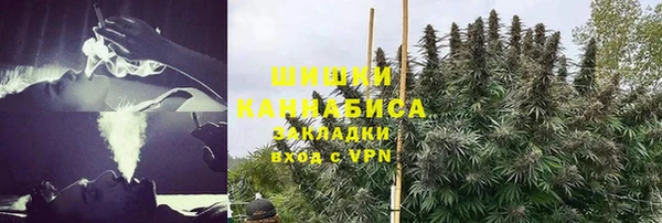 дурь Арсеньев
