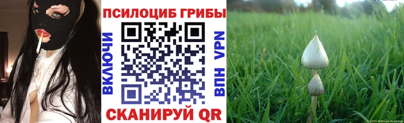 Галлюциногенные грибы Cubensis  Фролово 